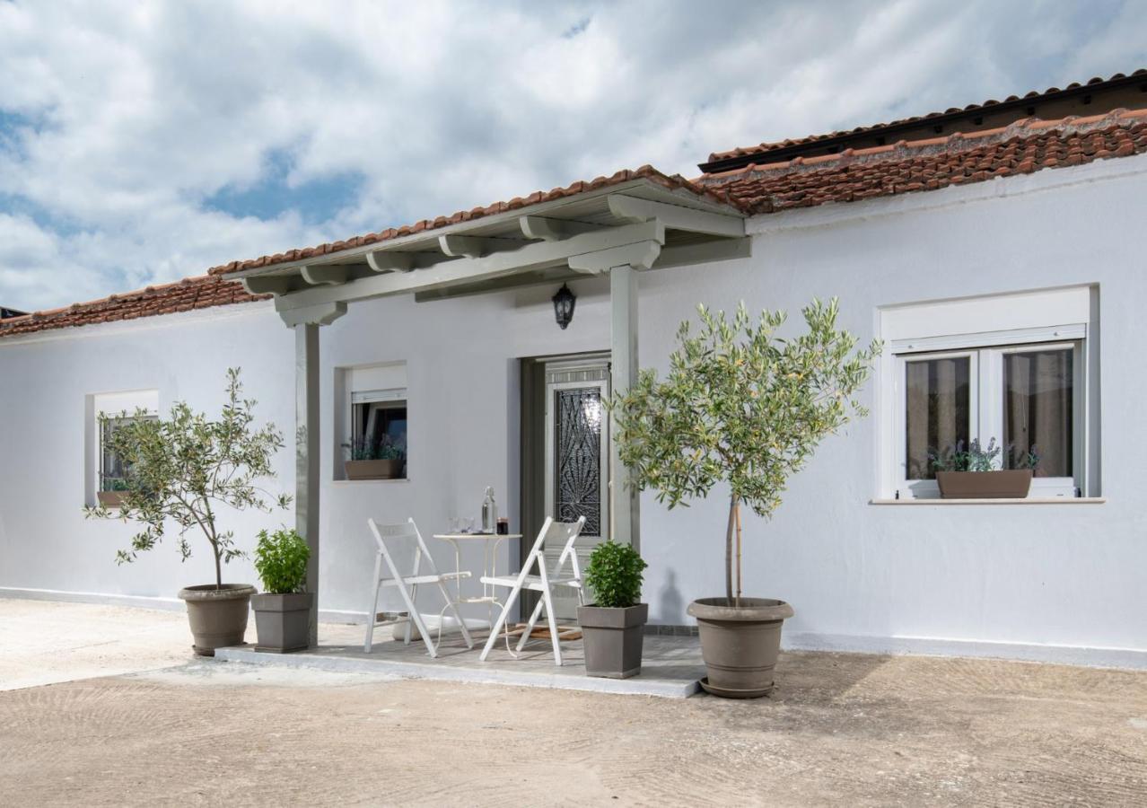 Agrikia Tis Vasilikis Apartment Ormilia Exterior photo